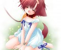 Catgirl Art /  - / Neco /   4 / Neko_maxiol_galery_2585.jpg