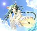 Catgirl Art /  - / Neco /   4 / Neko_maxiol_galery_260.jpg