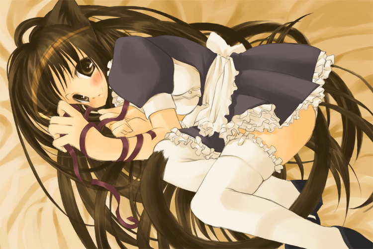 Catgirl Art /  - / Neco /   4 / Neko_maxiol_galery_2630.jpg