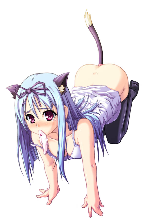 Catgirl Art /  - / Neco /   4 / Neko_maxiol_galery_290.jpg