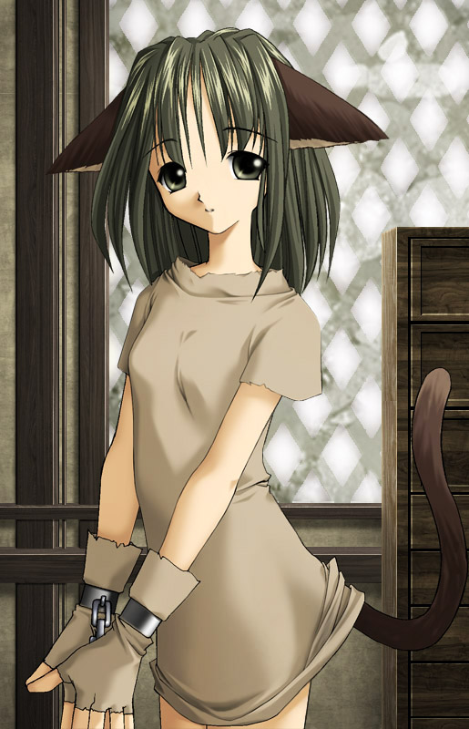 Catgirl Art /  - / Neco /   4 / Neko_maxiol_galery_777.jpg