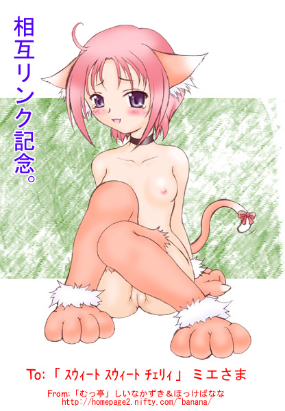 Catgirl Art /  - / Neco /   4 / Neko_maxiol_galery_783.jpg