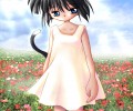 Catgirl Art /  - / Neco /   4 / Neko_maxiol_galery_918.jpg