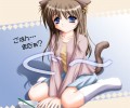 Catgirl Art /  - / Neco /   4 / Neko_maxiol_galery_930.jpg