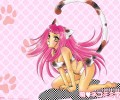 Catgirl Art /  - / Neco /  2 / Neko_Girls_maxiol_galery_014.jpg