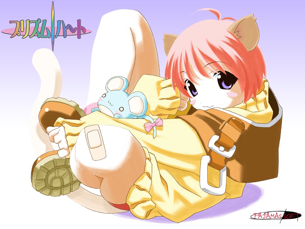 Catgirl Art /  - / Neco /  2 / Neko_Girls_maxiol_galery_240.jpg