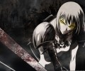 Claymore/  /  / maxiol_claymore_wallpaper_59331_.jpg