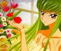 Code Geass /  / maxiol_Code_Geass_wallpaper_67110_.jpg