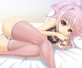 Code Geass /  / maxiol_Code_Geass_wallpaper_67178_.jpg