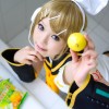 Cosplay / Kagamine Rin / maxiol_Kagamine_Rin_60772_.jpg