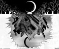 D.Gray-man / - / ディーグレイマン /  / maxiol_d_gray_man_wallpaper_64099_.jpg
