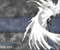 D.Gray-man / - / ディーグレイマン /  / maxiol_d_gray_man_wallpaper_64106_.jpg