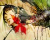 D.Gray-man / - / ディーグレイマン /  2 / maxiol_DGray_man_wallpaper_2_186629_.jpg