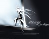 D.Gray-man / - / ディーグレイマン /  2 / maxiol_DGray_man_wallpaper_2_186941_.jpg