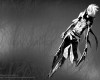 D.Gray-man / - / ディーグレイマン /  2 / maxiol_DGray_man_wallpaper_2_187011_.jpg