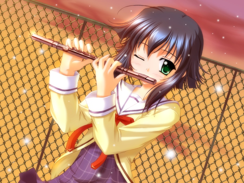 Da Capo /  / maxiol_Da_Capo_62848_.jpg