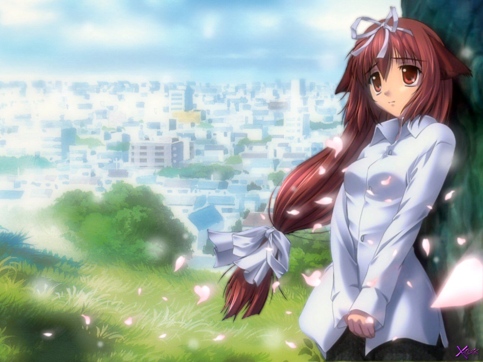 Da Capo /  / maxiol_Da_Capo_62939_.jpg