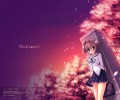 Da Capo /  / maxiol_Da_Capo_62993_.jpg