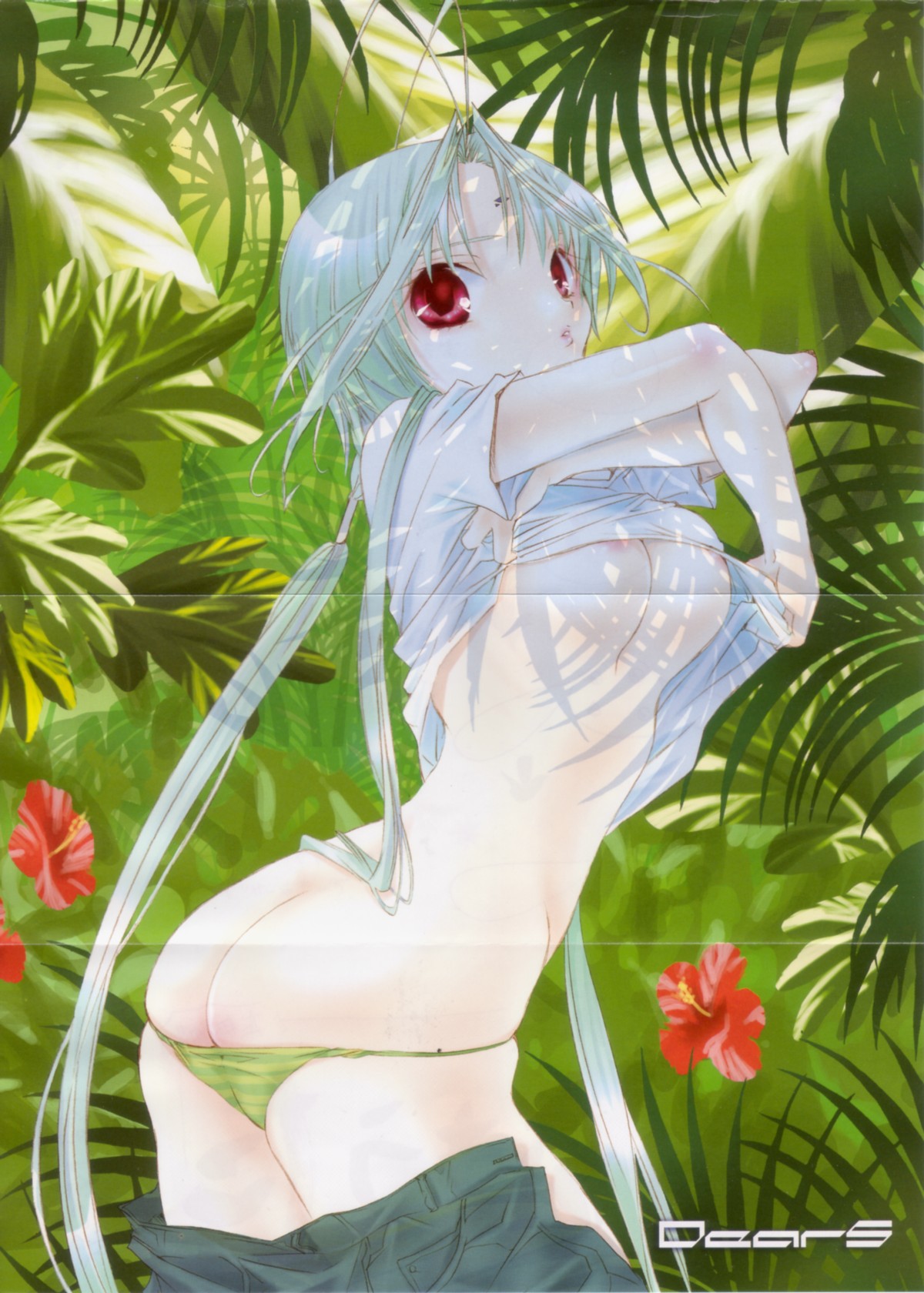 Dears /  / dear_s_maxiol_galery_020.jpg