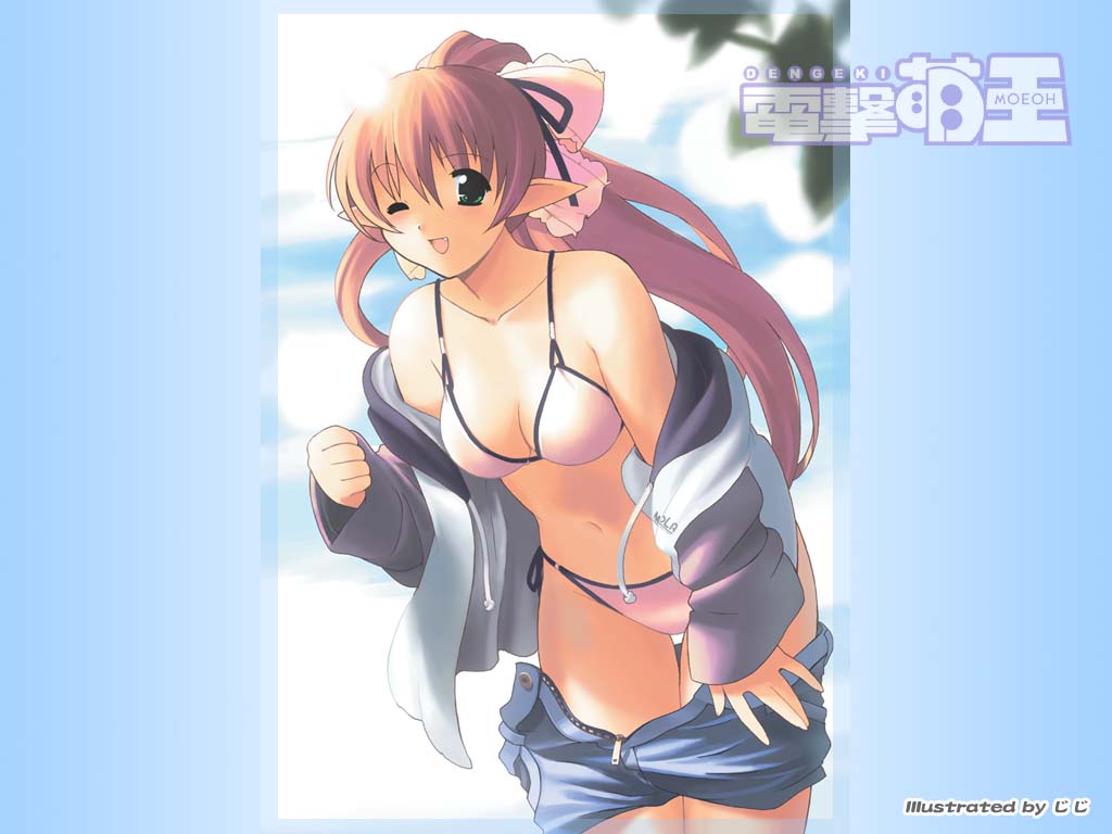 Dengeki Moeoh /  / maxiol_dengeki_moeoh_64481_.jpg