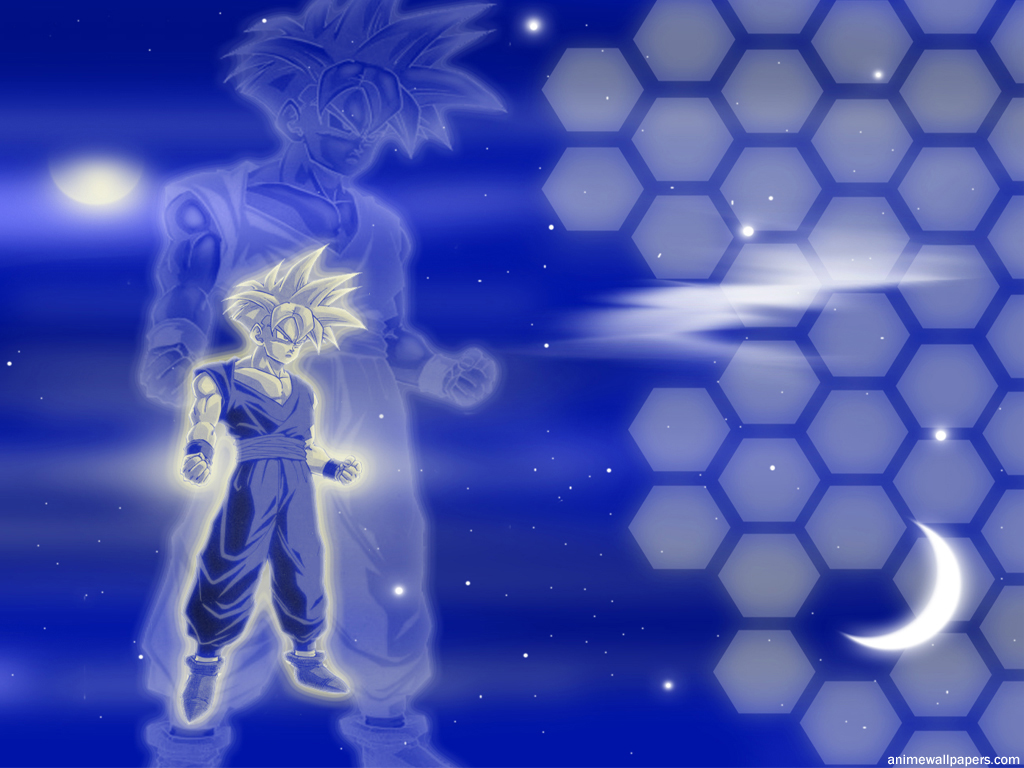 Dragon Ball /  / maxiol_Dragon_Ball_wallpaper_65202_.jpg