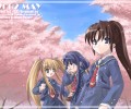Dreamsoft CG  /   / maxiol_dreamsoft_138768_.jpg