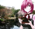 Elfen lied /    /  / maxiol_elfienlied_68539_.jpg