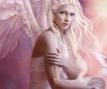 Fantasy Life /   / maxiol_fantazy311009_138794_.jpg