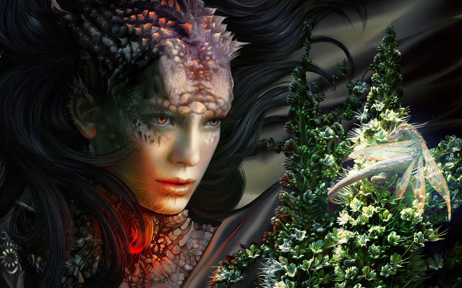 Fantasy Life /   / maxiol_fantazy311009_138809_.jpg