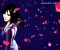 Final Fantasy ( ) /  / maxiol_Final_Fantasy_All_wallpaper_70479_.jpg