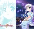 Fortune Arterial /  / maxiol_fortune_arterial_70777_.jpg
