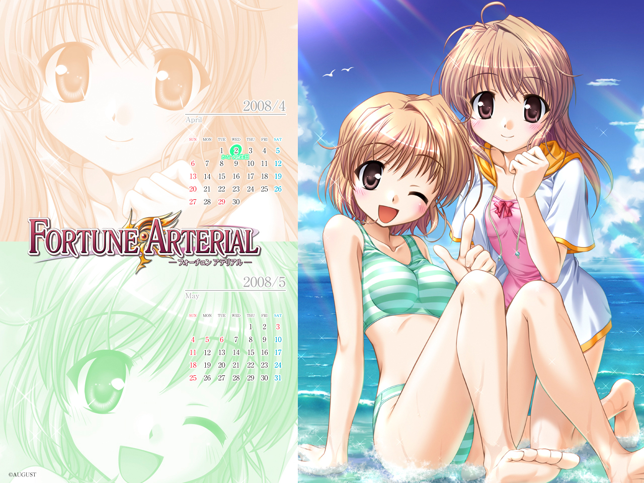 Fortune Arterial /  / maxiol_fortune_arterial_70784_.jpg