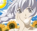 Full Metal Panic /  / maxiol_Full_Metal_Panic_wallpaper_71249_.jpg