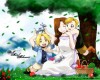Fullmetal Alchemist /   / 鋼の錬金術師 /  2 / maxiol_Fullmetal_Alchemist_wallpaper_2_188382_.jpg