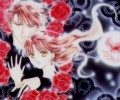 Fushigi Yuugi /  / Fushigi_Yuugi_maxiol_galery_114.jpg