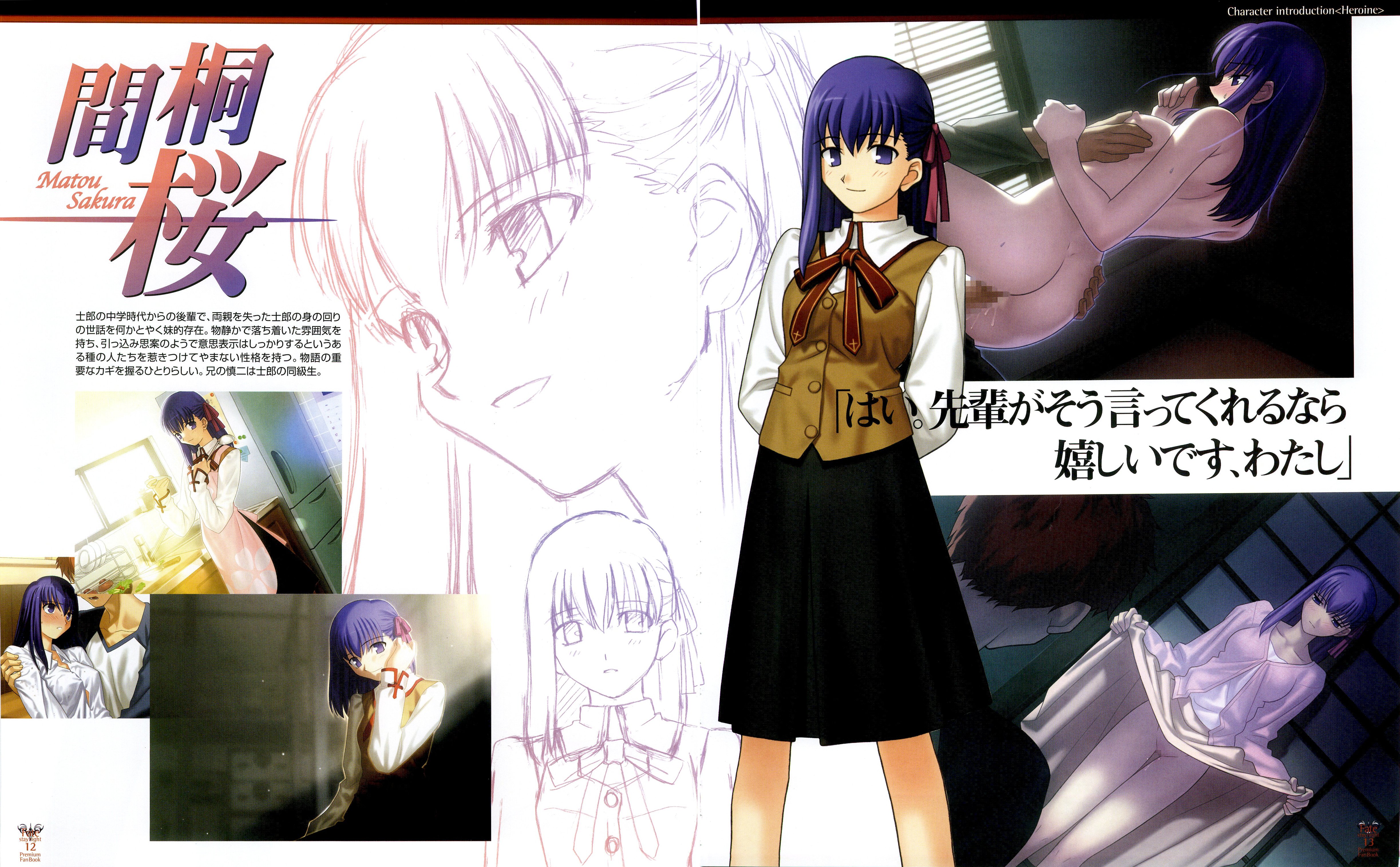 Fate Stay Night  / Premium FanBook / maxiol_FateStayNight_Premium_FanBook_161359_.jpg