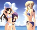 Fate Stay Night  /  / maxiol_Fatestaynight_69637_.jpg