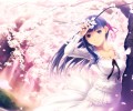 Fate Stay Night  /  / maxiol_Fatestaynight_70022_.jpg