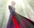 Fate Stay Night  /  / maxiol_Fatestaynight_70123_.jpg