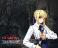 Fate Stay Night  /  / maxiol_Fatestaynight_70131_.jpg