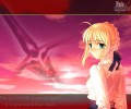 Fate Stay Night  /  / maxiol_Fatestaynight_70166_.jpg