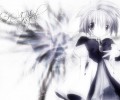 Galaxy Angel/   /  / maxiol_galaxy_angel_wallpaper_72061_.jpg