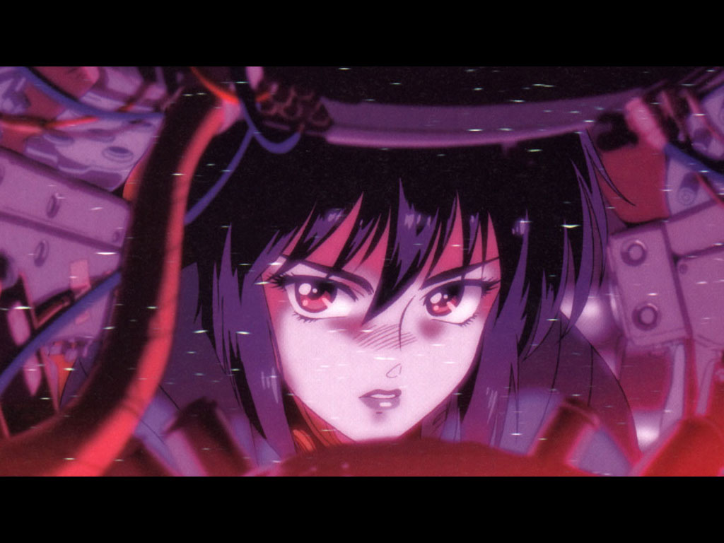 Ghost In The Shell (  ) /  / maxiol_Ghost_In_The_Shell_72535_.jpg