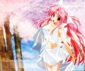 Girls Bravo /  / maxiol_girls_bravo_wallpaper_72767_.jpg
