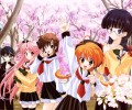 Girls Bravo /  / maxiol_girls_bravo_wallpaper_72775_.jpg