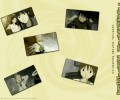 Haibane Renmei /  / maxiol_Haibane_Renmei_wallpaper_73937_.jpg