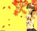 Hikaru no Go /    / Hikaru's Go / ヒカルの碁 /  / maxiol_Hikaru_no_Go_84142_.jpg