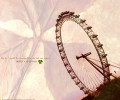 Honey and Clover /    / ハチミツとクローバー /  / maxiol_honey_and_clover_86741_.jpg