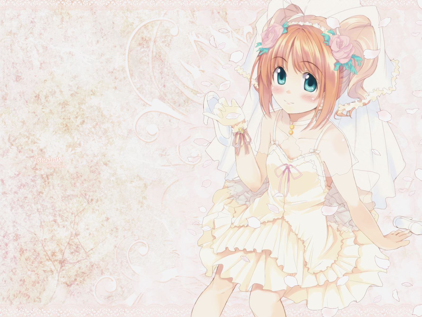Idolmaster - Live for You! /  / maxiol_idolmaster_123825_.jpg
