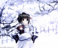 Ikegami Akane /  / maxiol_ikegami_akane_90779_.jpg